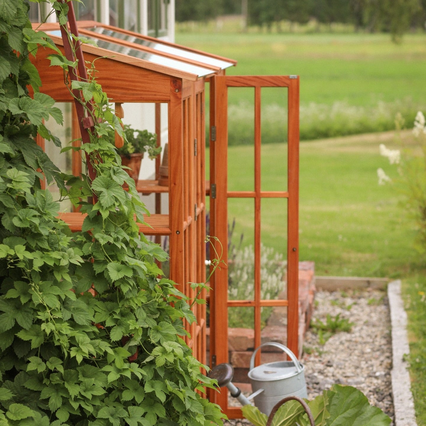 Wandgewächshaus Mahagoni geölt