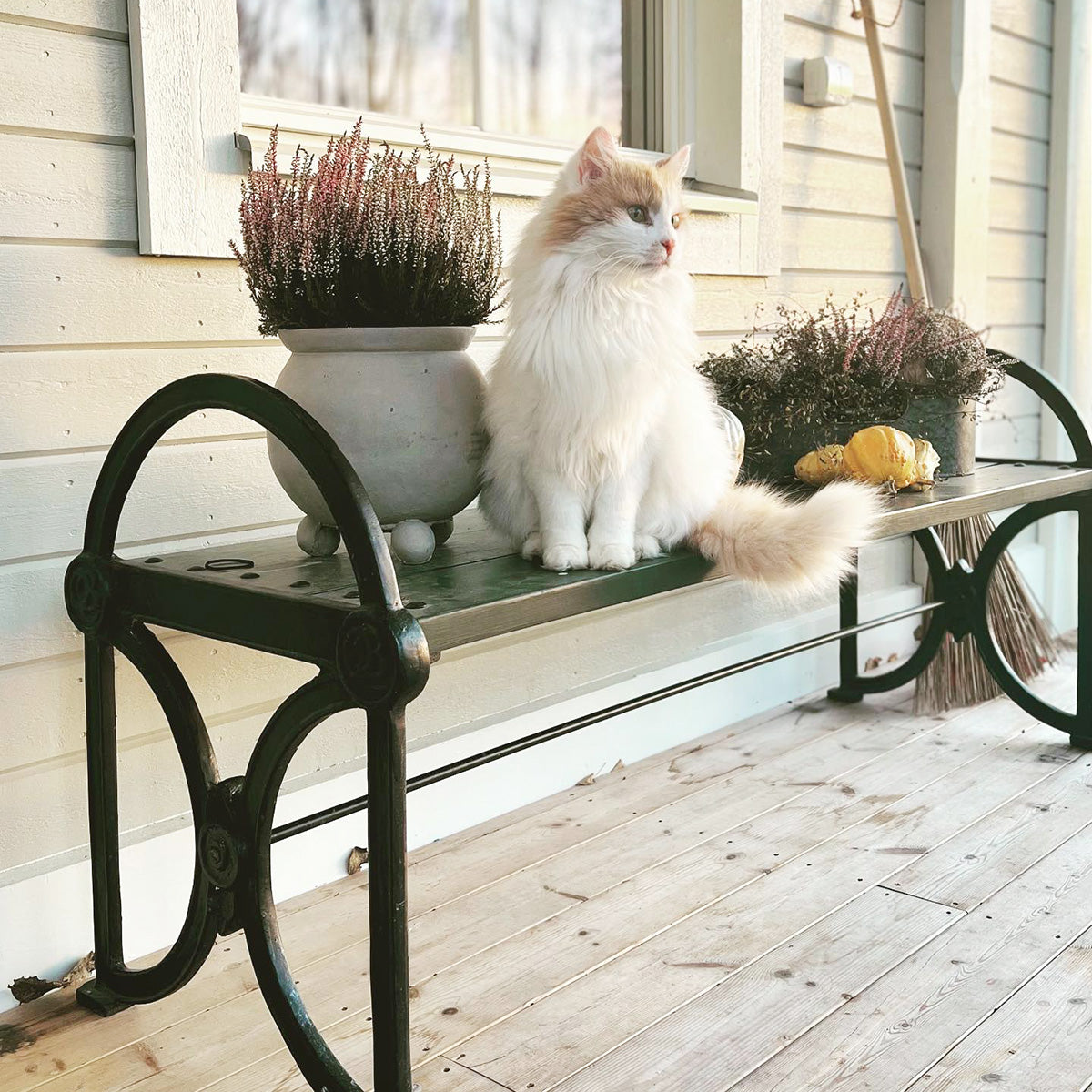 Trädgårdsbänk Movitz gjutjärn vagnsgrön