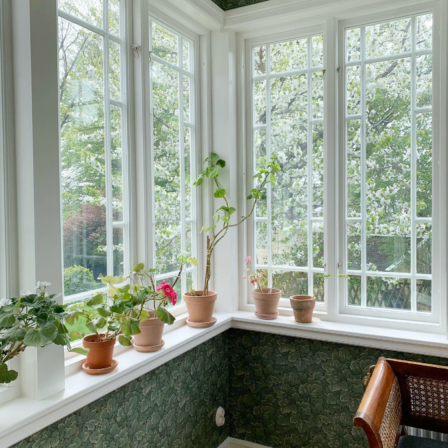 Sjöqvist fönster glasveranda