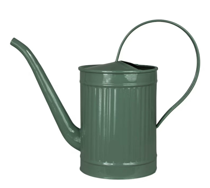 Vattenkanna Hugo Mörkgrön