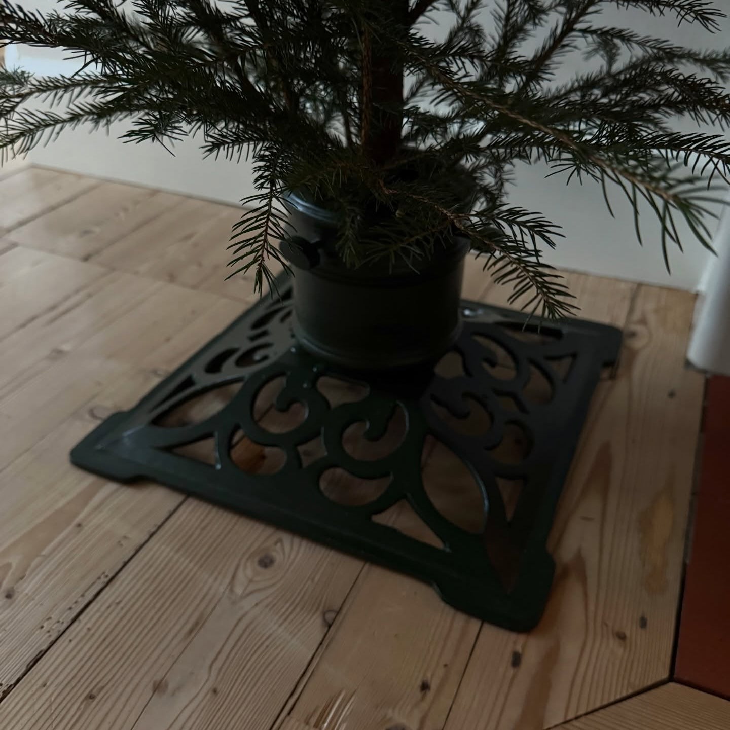 Julgransfot Eva grön