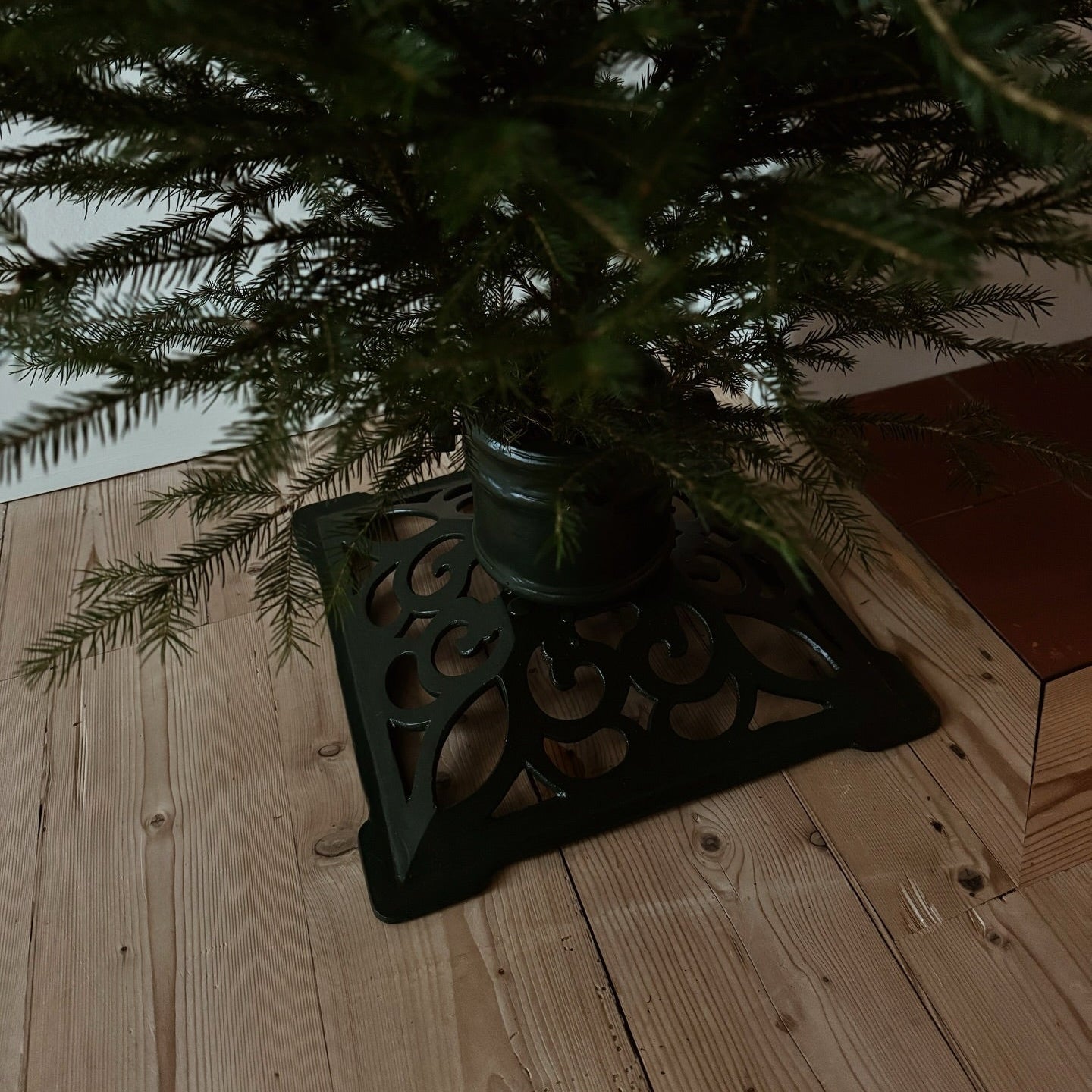 Julgransfot Eva grön