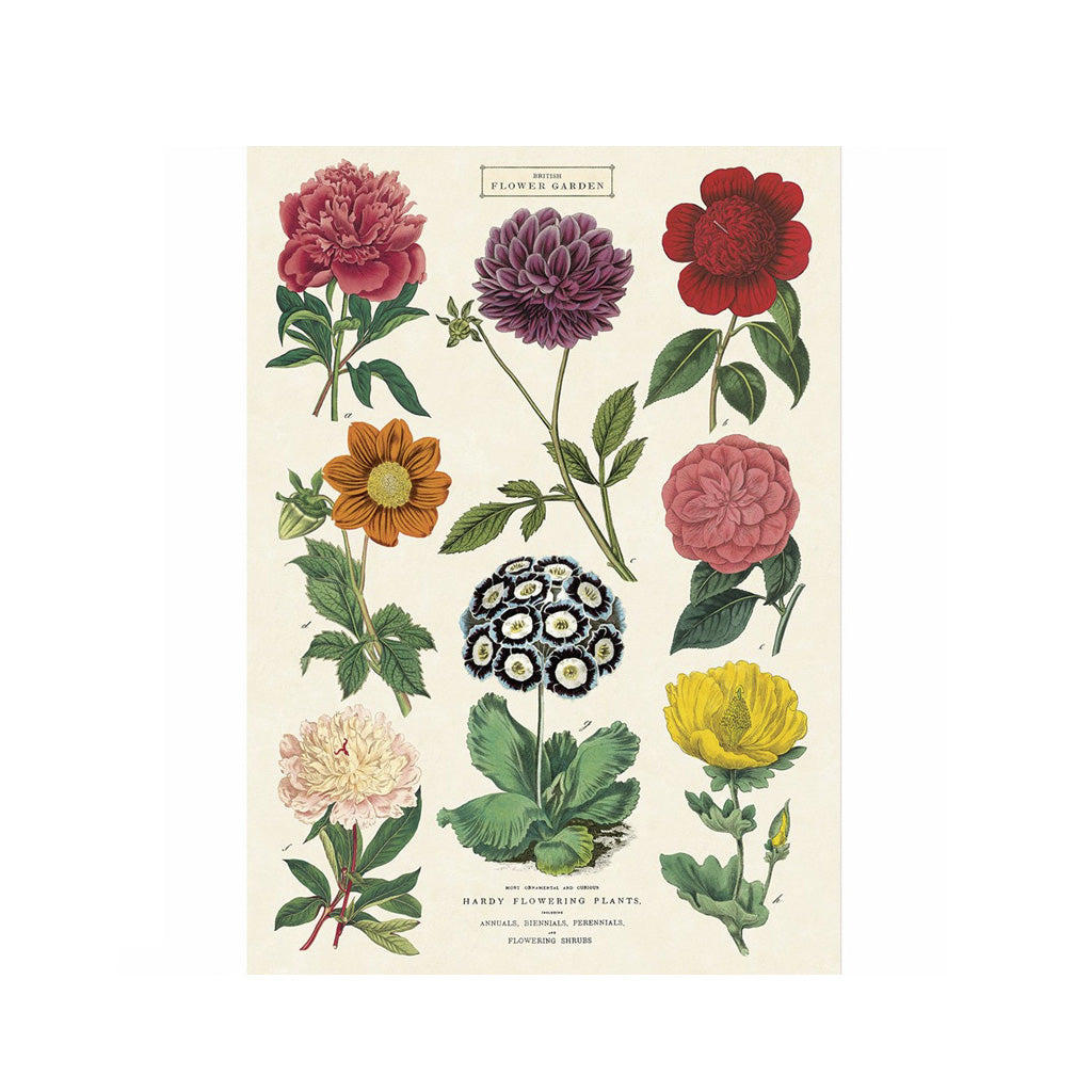 Vintage plakat 'Botany II'