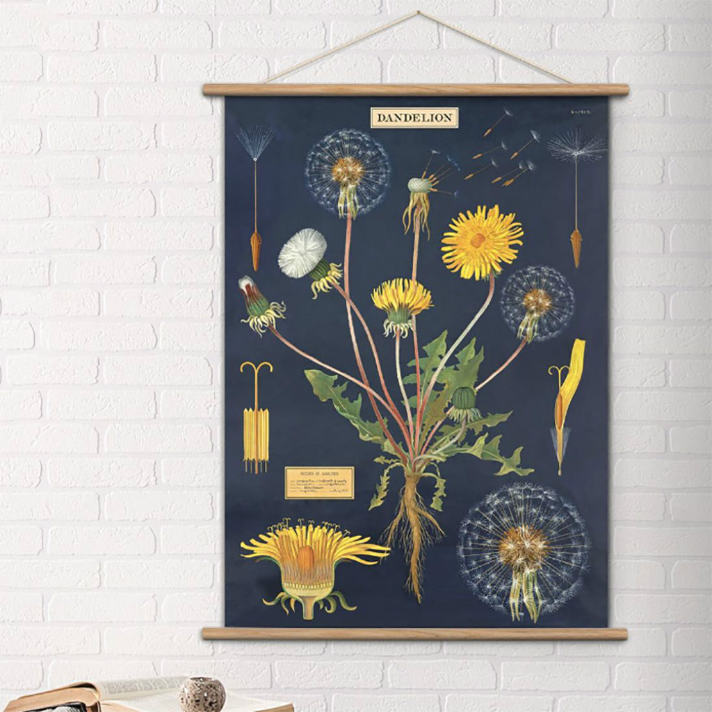 Vintage poster upphängning i teak