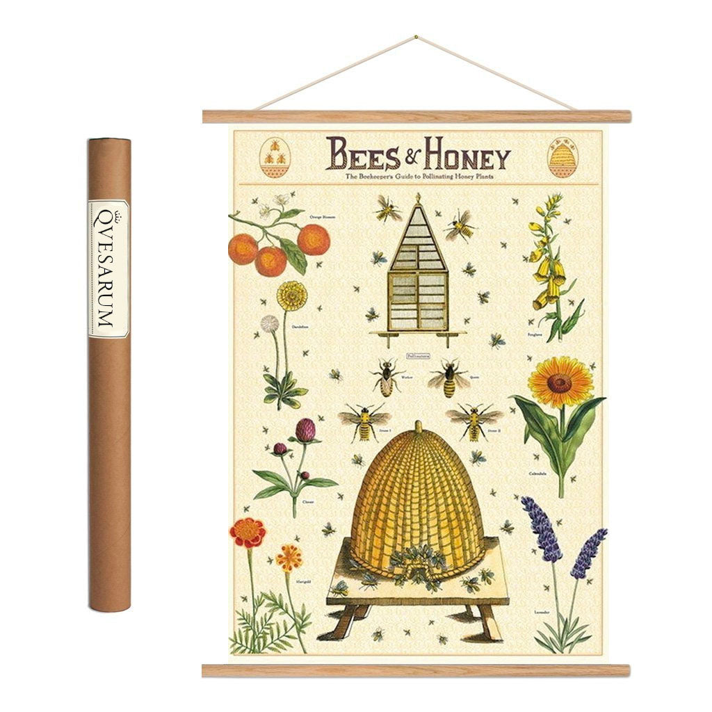 Vintage poster kit ’Bees & Honey’