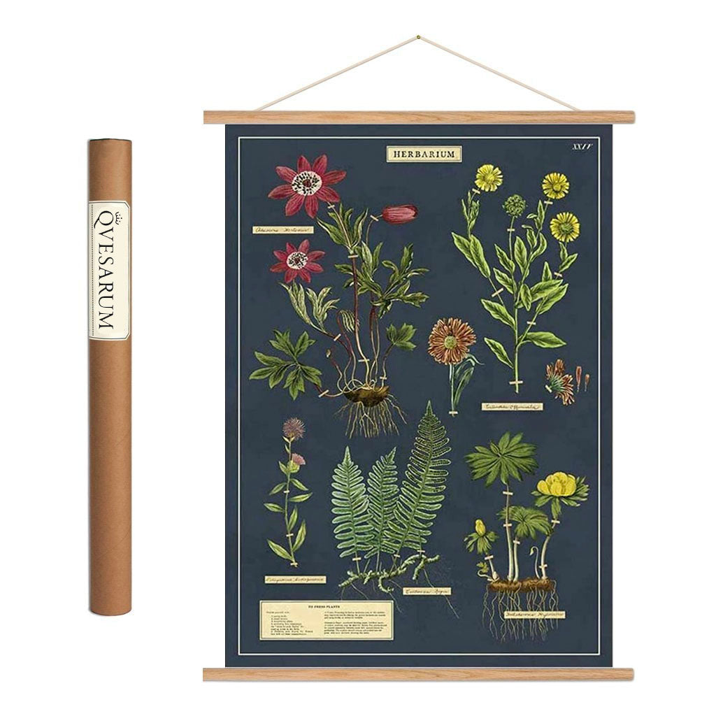 Qvesarum Vintage poster kit ’Herbarium’