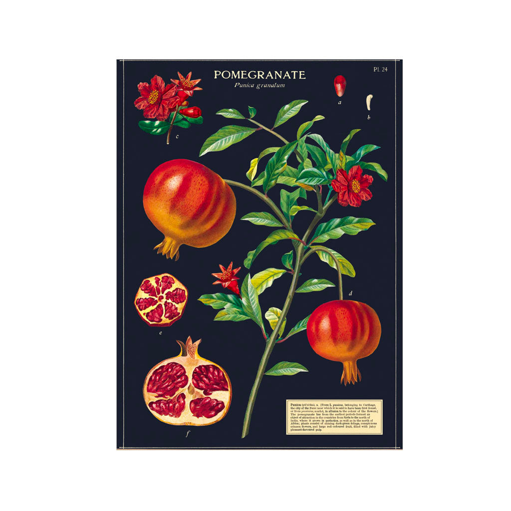 Vintage poster ’Pomegranate’