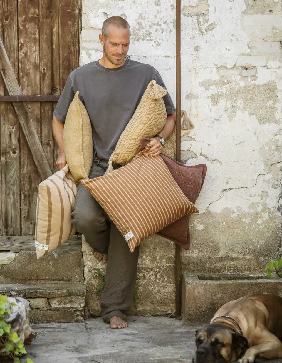 Romano Kuddfodral Gustav Ovland Beige/Vass