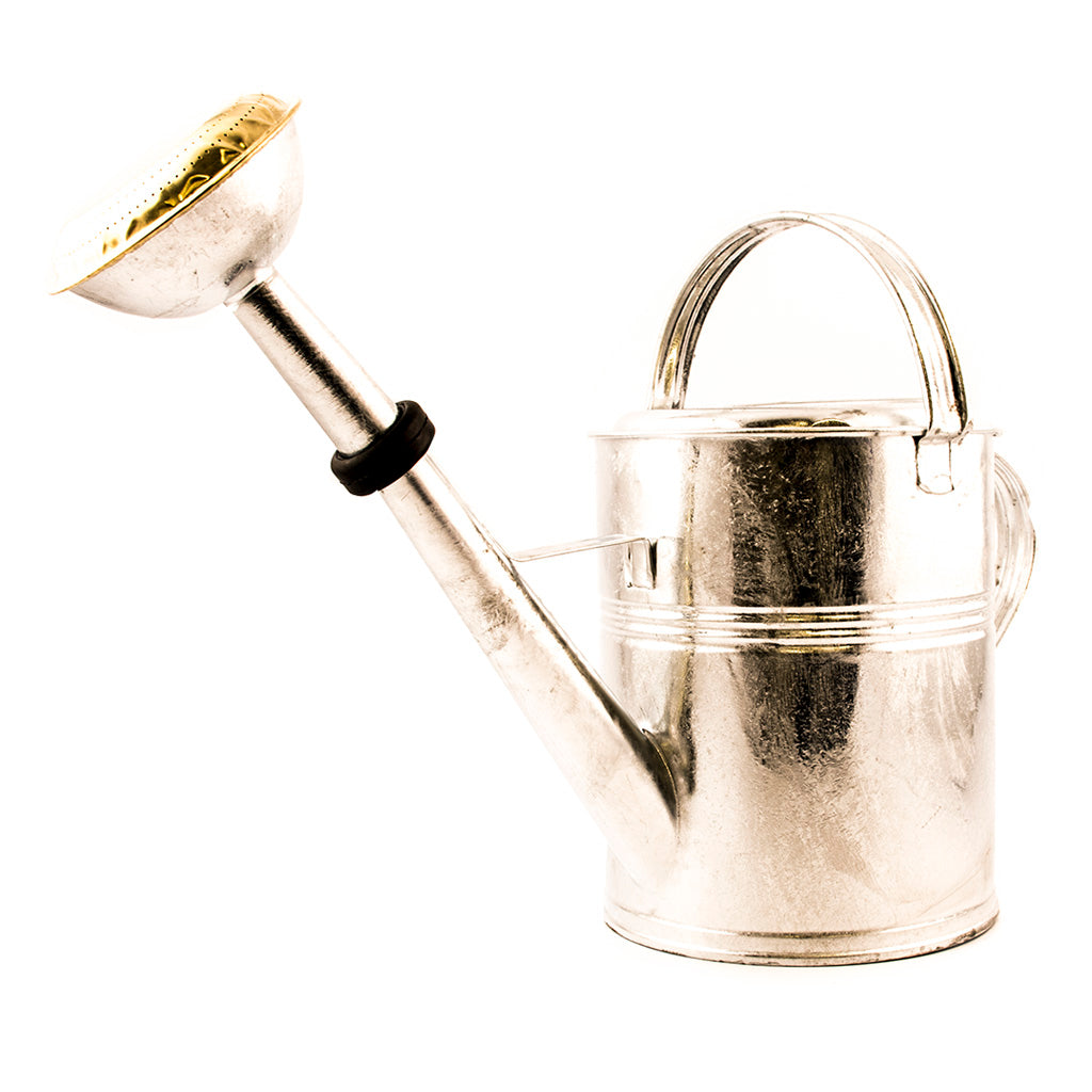 Vattenkanna i zink och mässing 5L