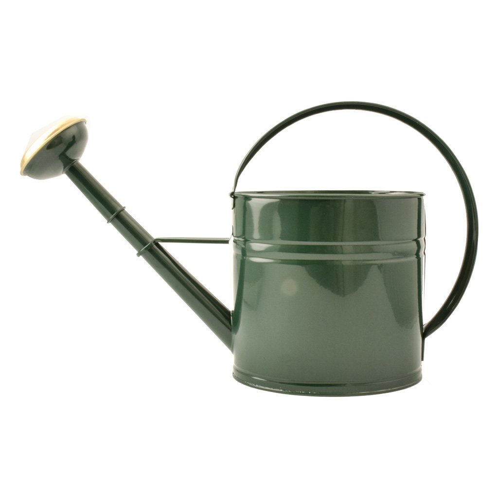 Vattenkanna grön 4L