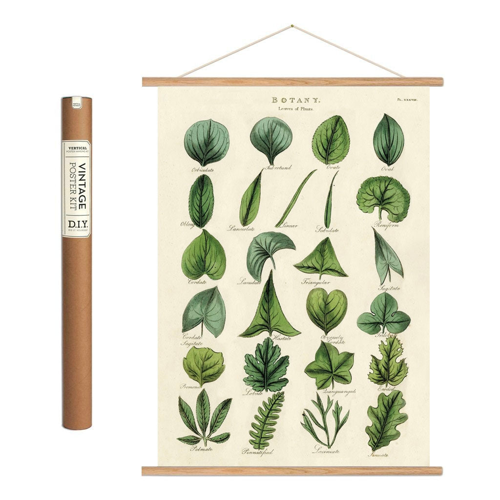 Vintage poster kit ’Botany Leaves’