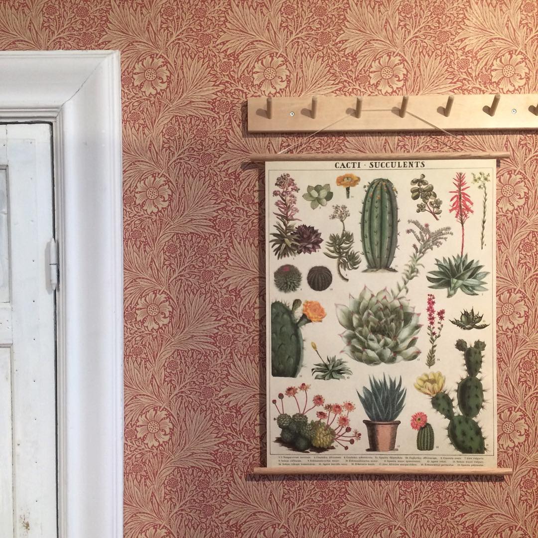 Vintage poster 'Succulent'