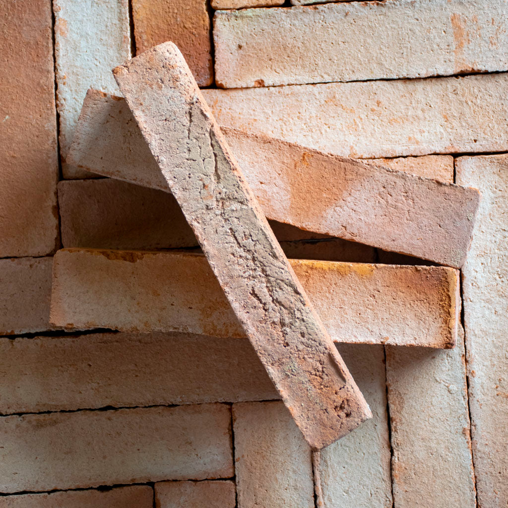 Marktegel fiskben röd