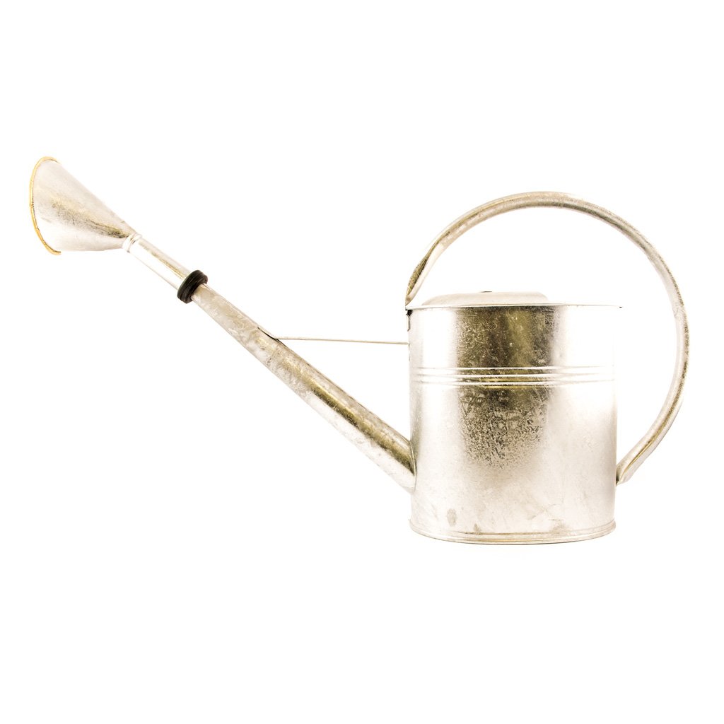 Vattenkanna i zink 8L