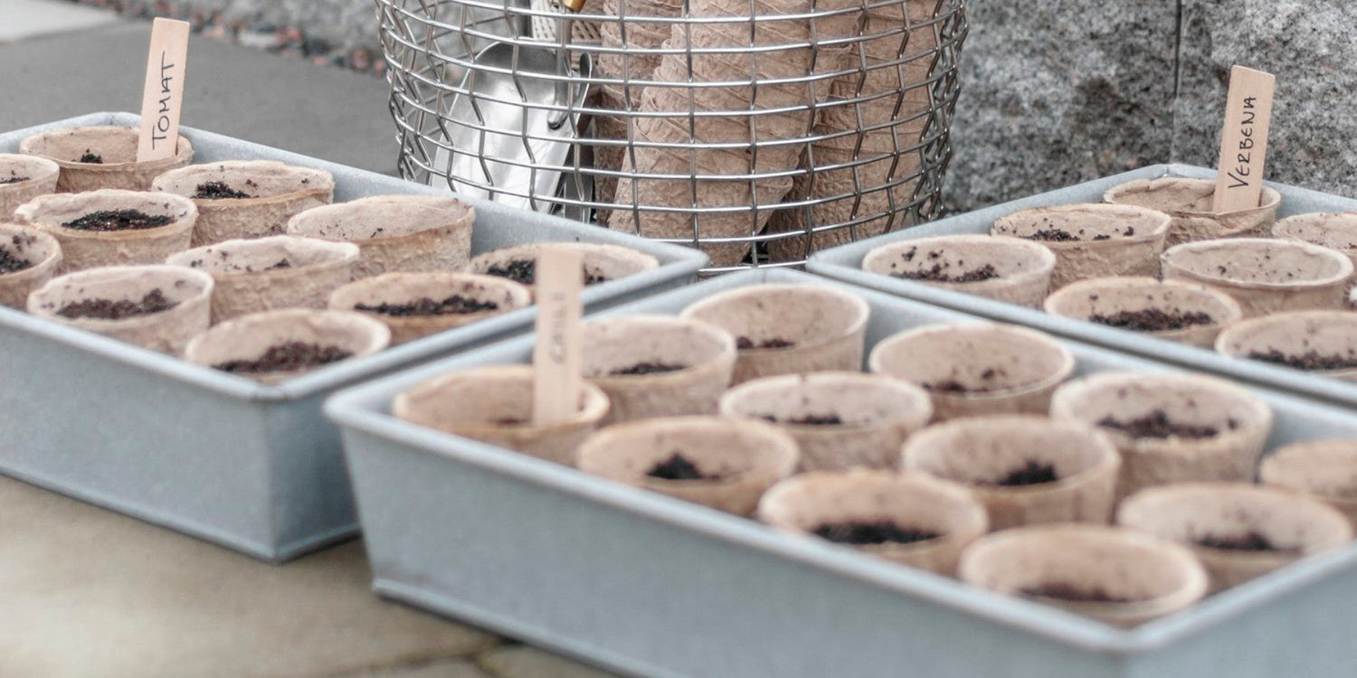 Förbered ditt orangeri inför odlingssäsongen