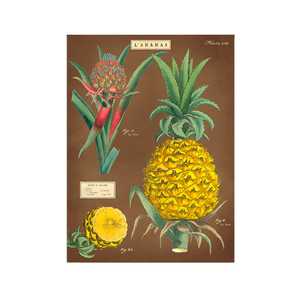 Vintage poster ’Pineapple’