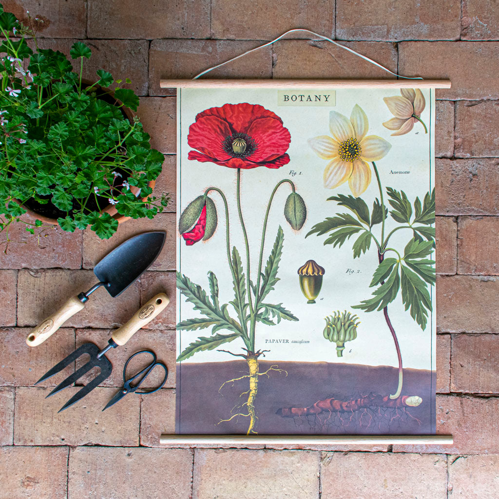 Vintage poster upphängning i teak