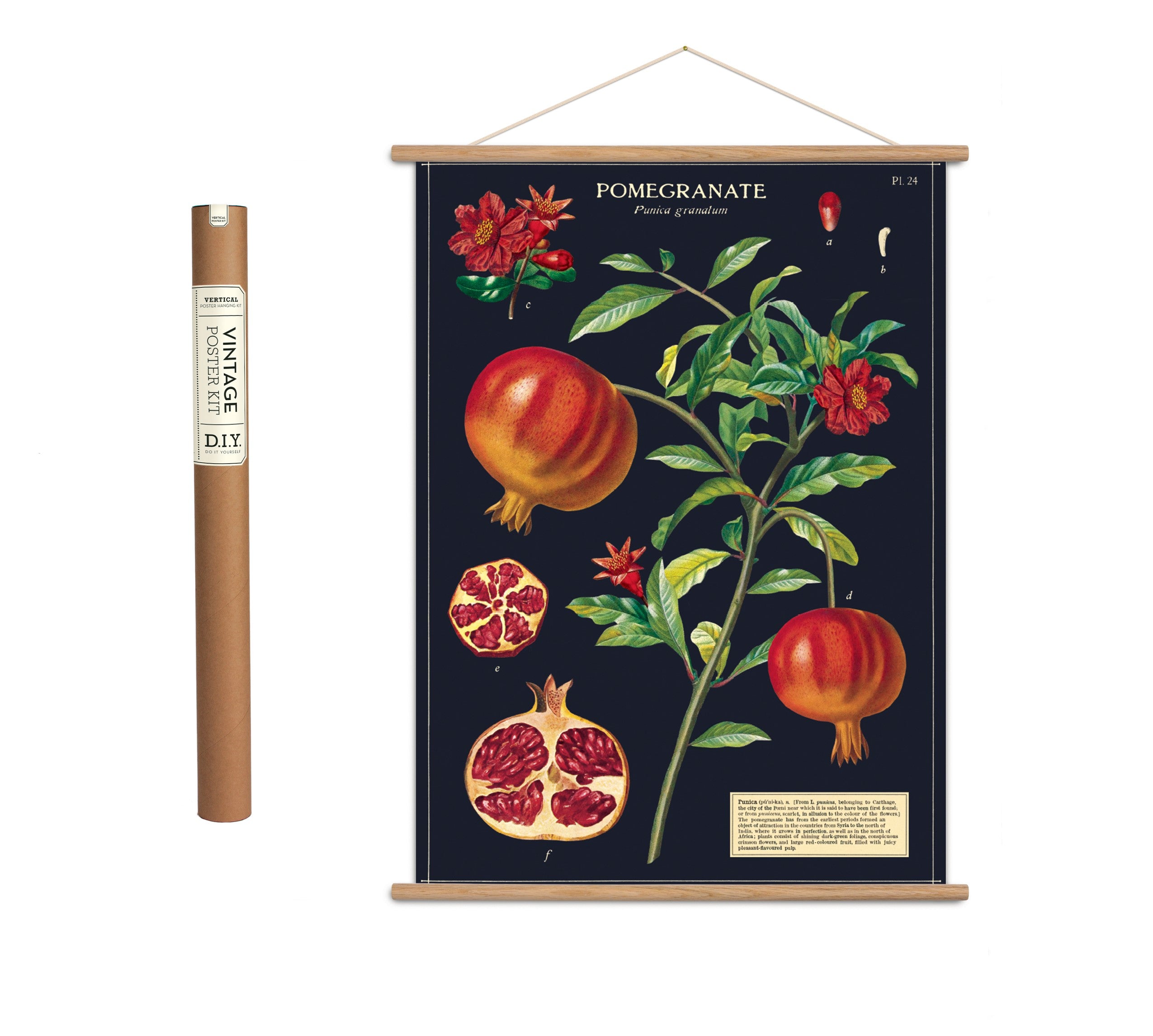 Vintage poster kit ’Pomegranate’