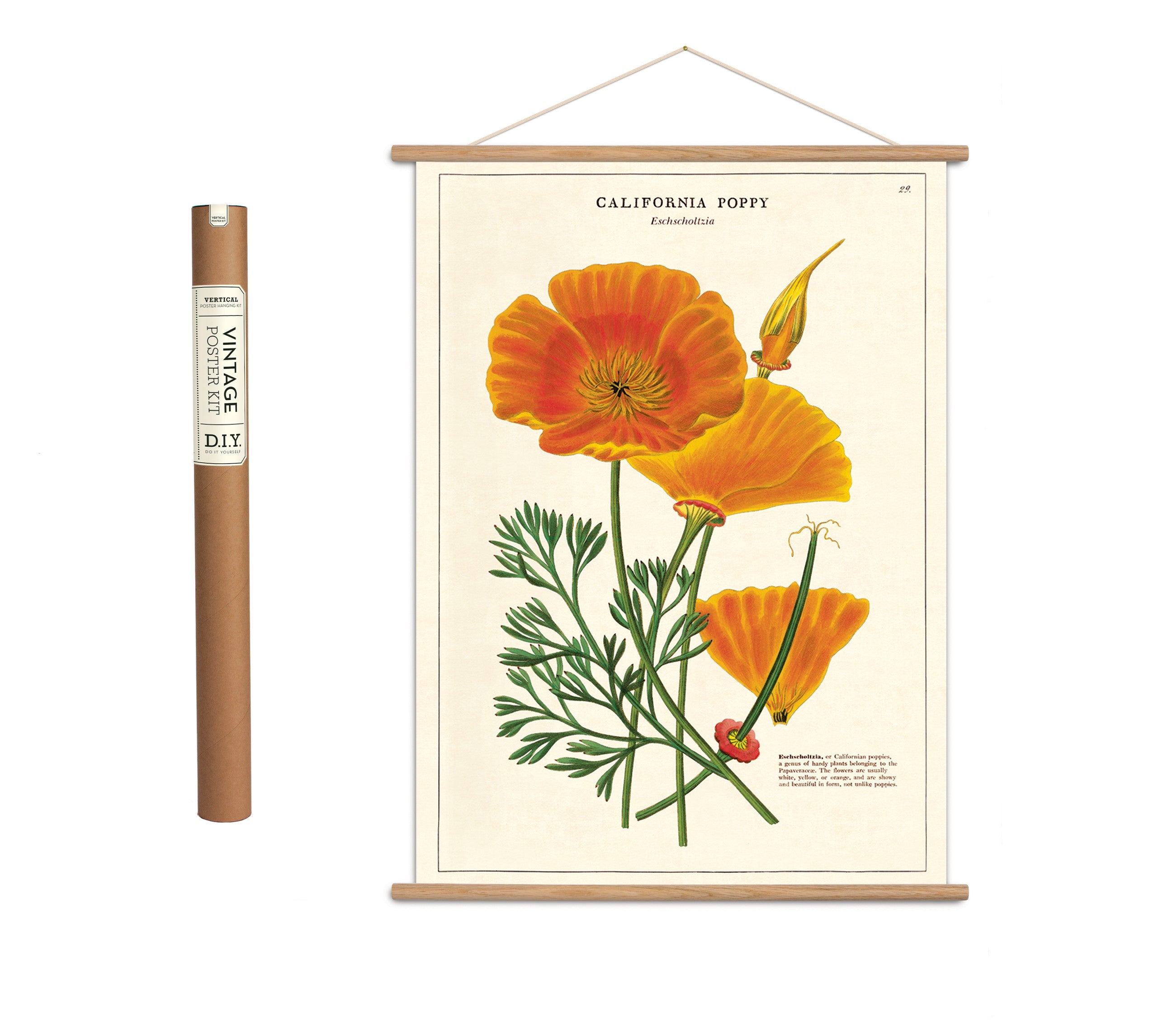 Vintage poster kit ’California Poppy’