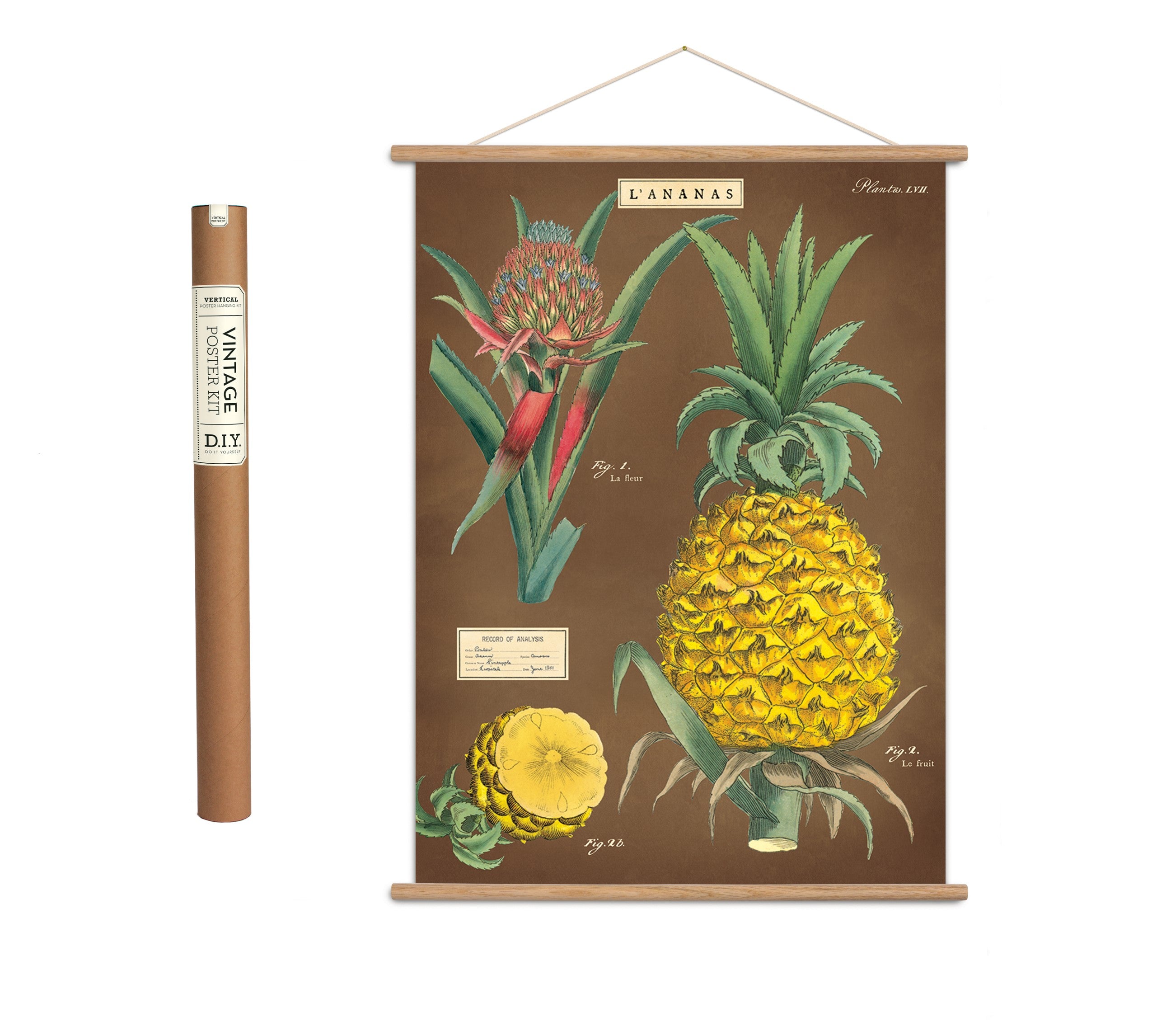 Vintage poster kit ’Pineapple’