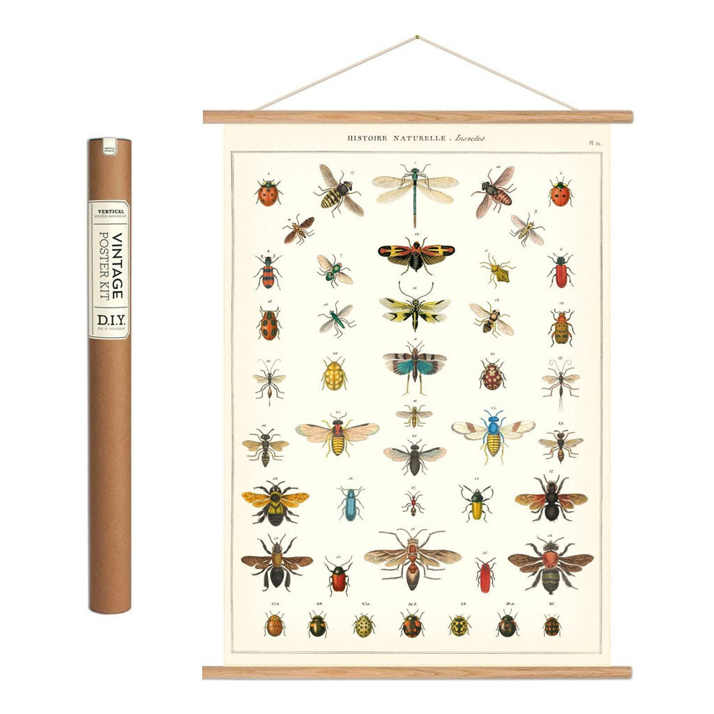 Vintage poster kit insekter 'Insects'