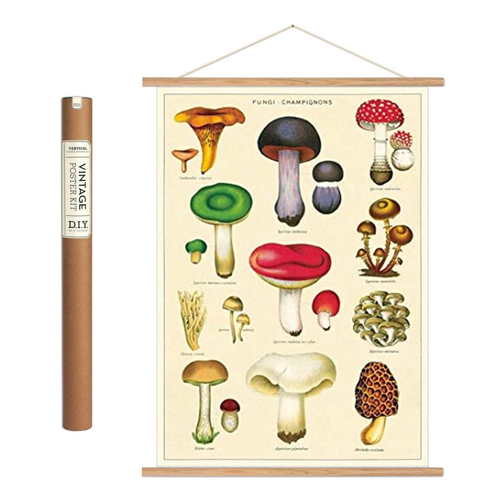 Vintage poster kit ’Mushrooms’