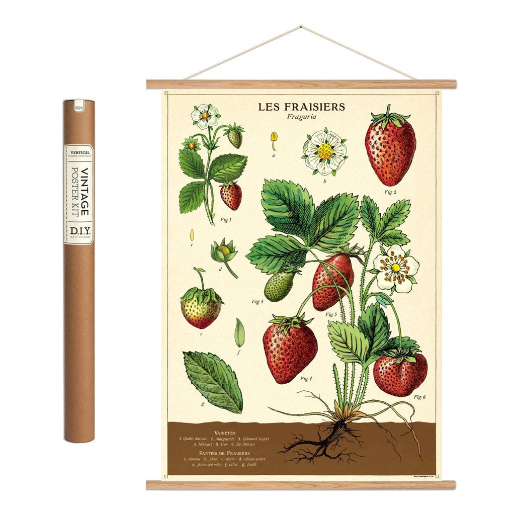 Vintage poster kit 'Strawberries'