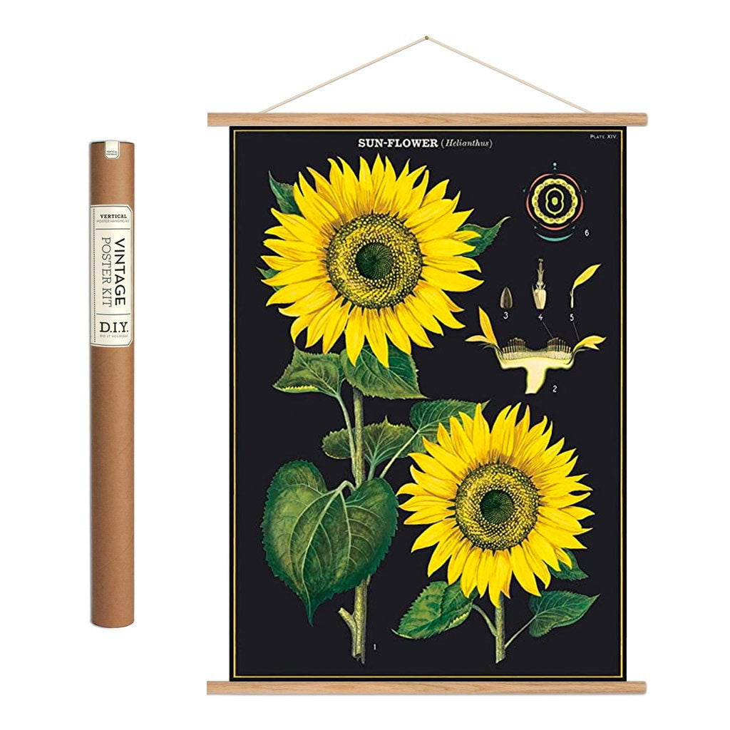 Vintage poster kit 'Sunflower'